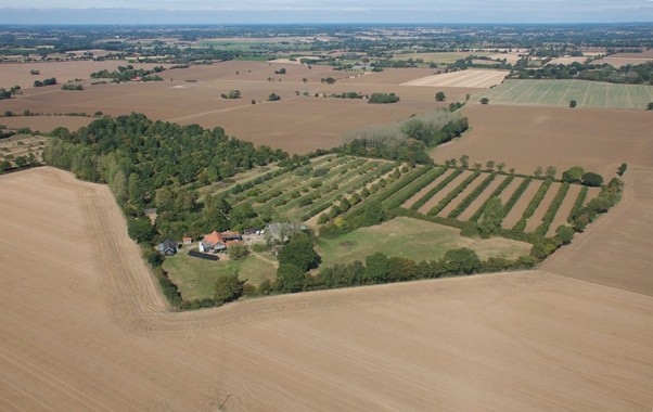 Agroforestry farm
