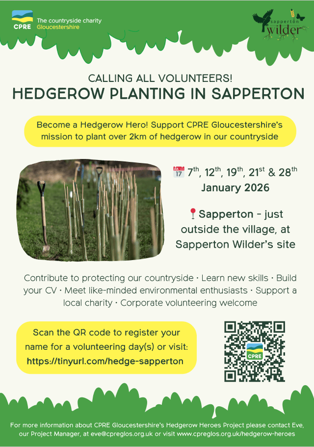 Information on hedge planting in Sapperton in January 2026