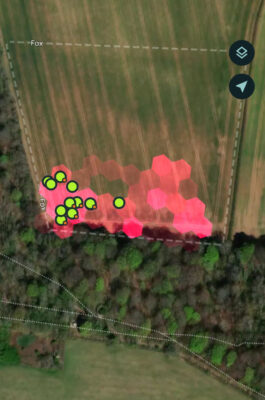 An image from a virtual fence app showing a field with dots and red hexagons to indicate where the cattle are and have been