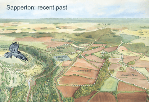 Sapperton's recent past