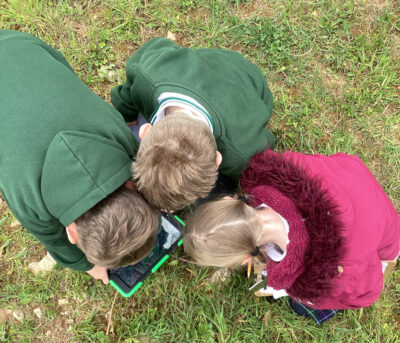 Three children crouching in the grass using an ipad to identify a plant