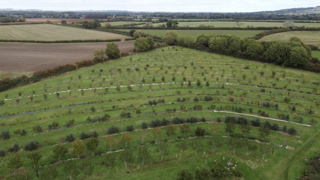 Agroforestry