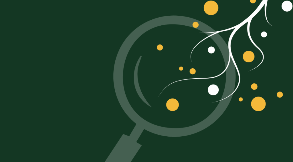 Blog category research