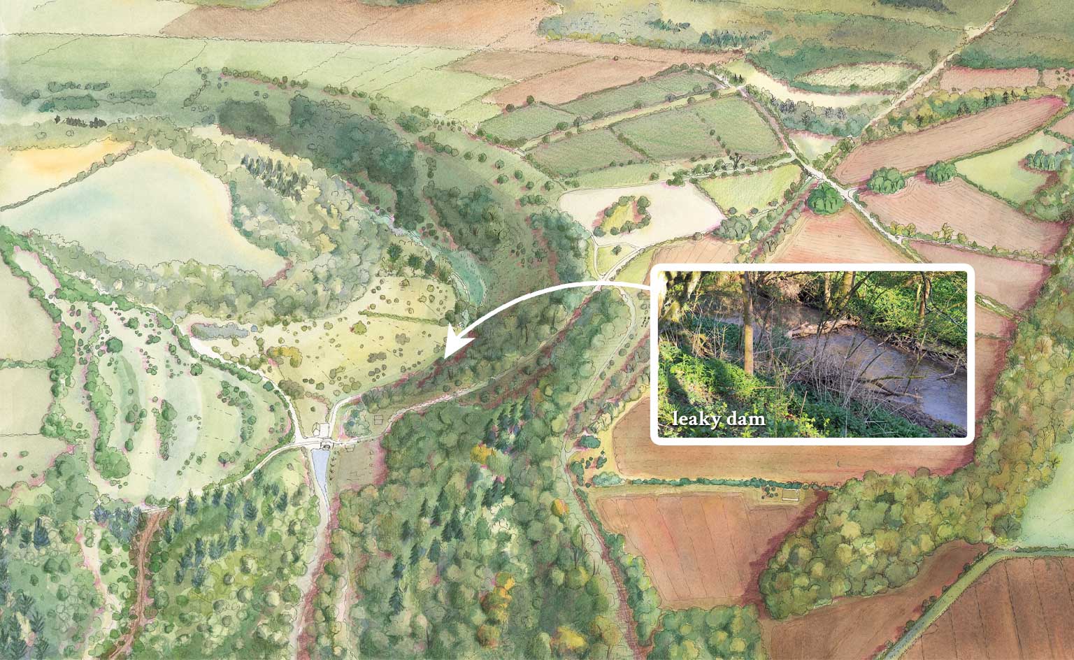 Sapperton wilder past present and future drought and floods