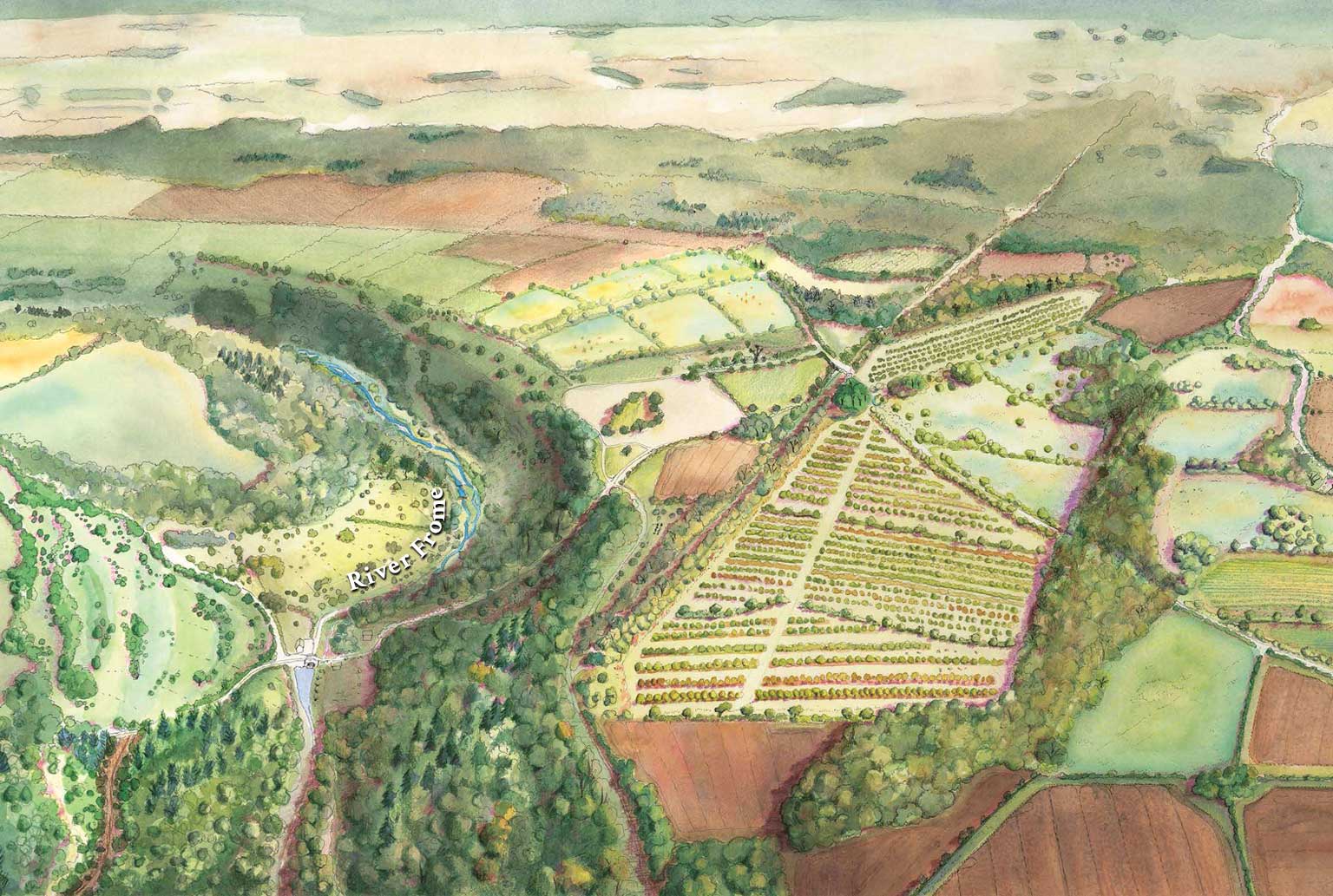 Sapperton wilder past present and future ecosystem dynamics water cycle