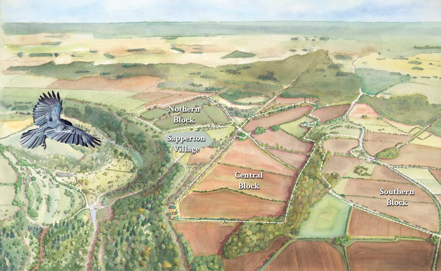 Sapperton wilder past present and future loss of habitat