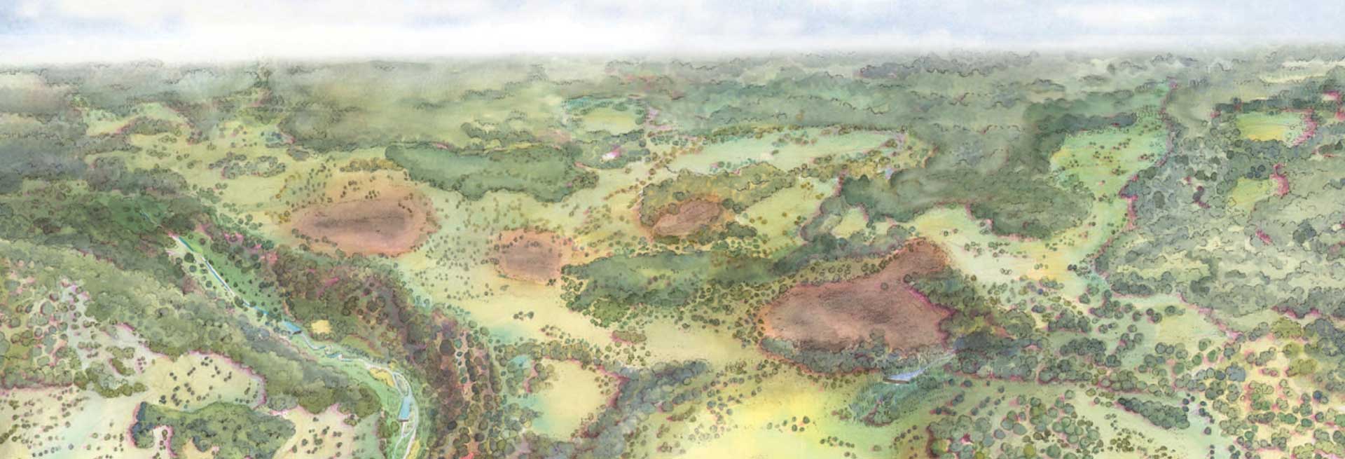 Sapperton wilder past present and future mesolithic with burn