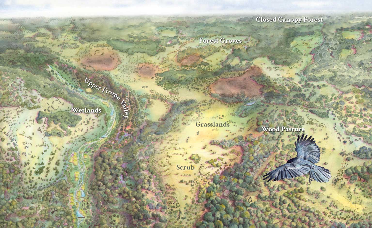 Sapperton wilder past present and future mesolithic with burn