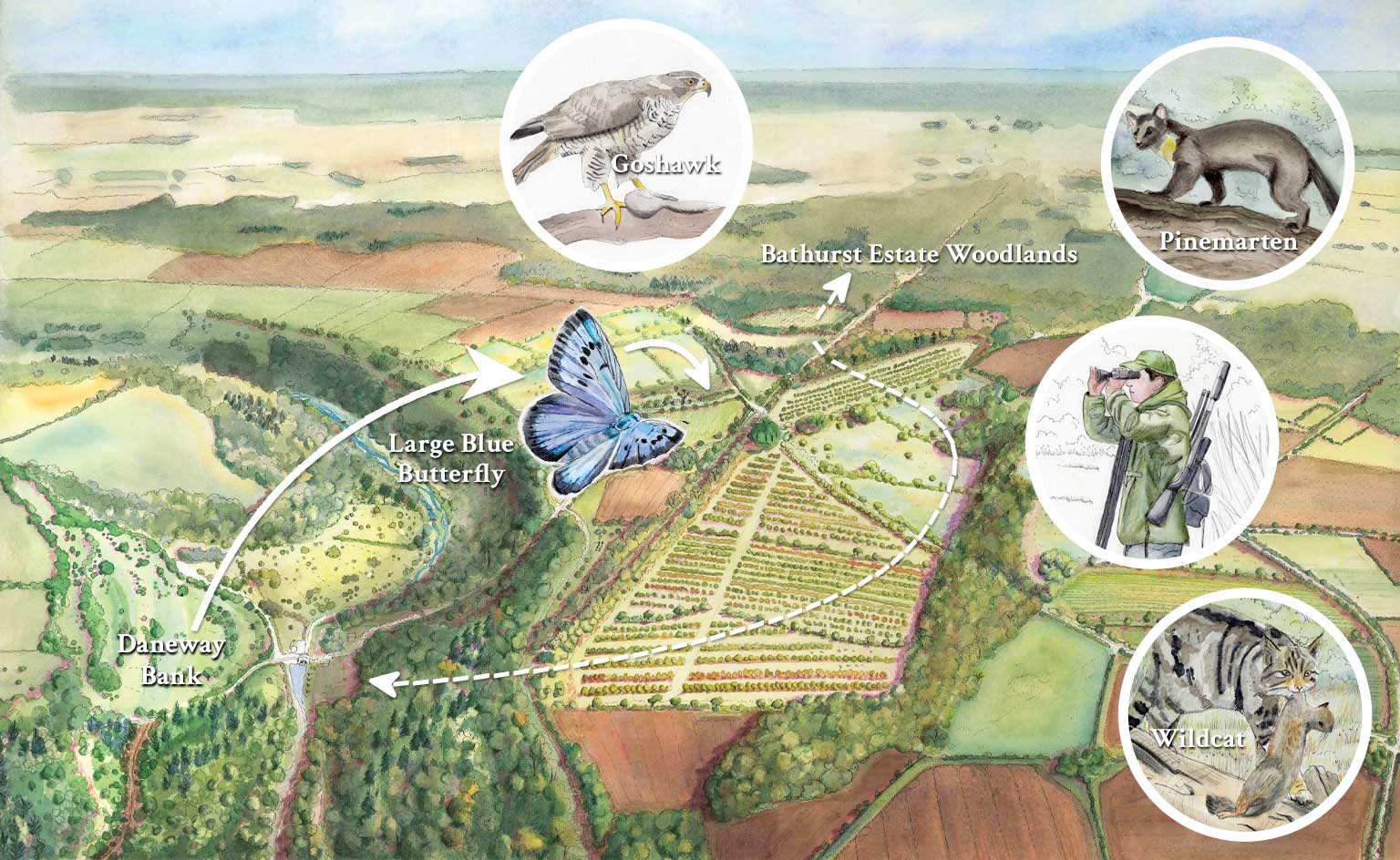 Sapperton wilder past present and future mosaic habitat and connectivity