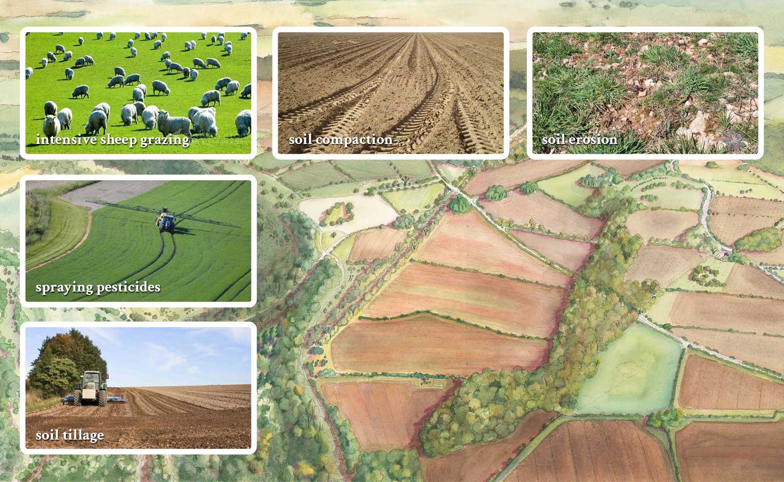 Sapperton wilder past present and future nutrient cycle and energy flows